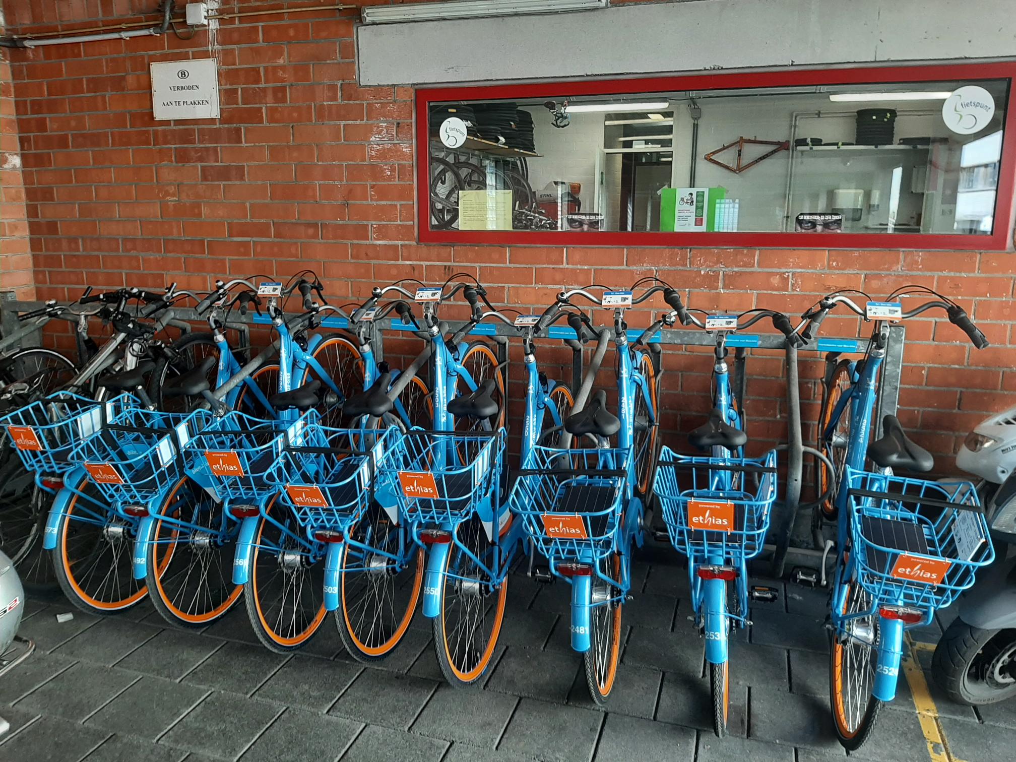 _Blue-bike deelfietsen station Zottegem_2